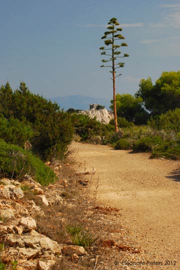 Wanderweg zum Punta del Gioglio