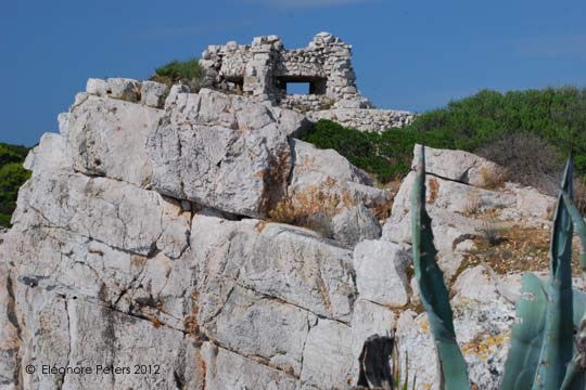 Fels mit Ruine