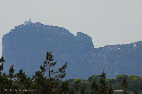 Capo caccia