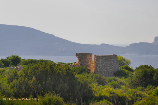 Ruine am Weg