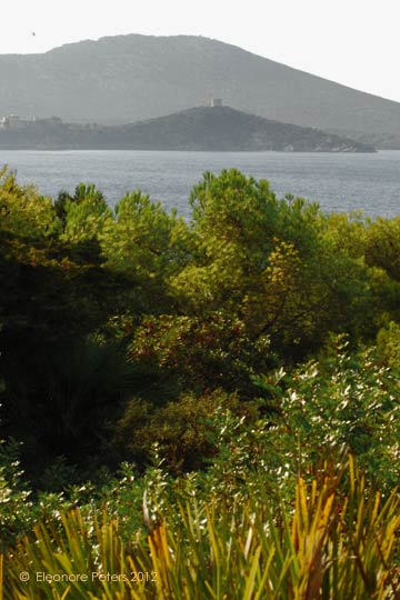 Berg mit Torre