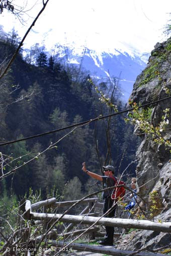 auf dem Grigglwaal-Weg