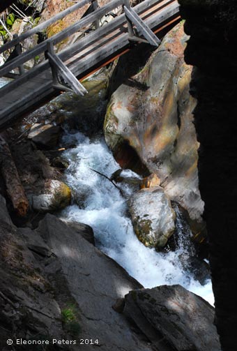 Wildbach