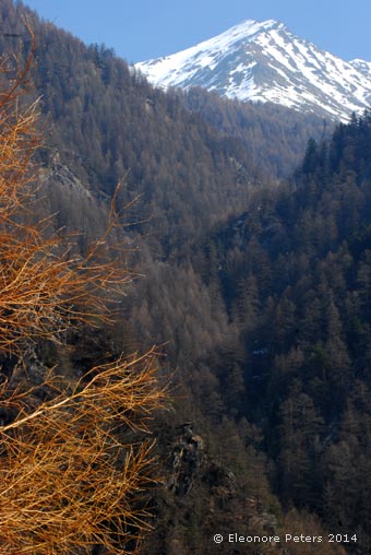 Schnee bedeckte Bergspitze
