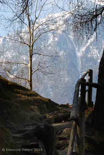 Ausblick auf Schnee bedeckte Berge