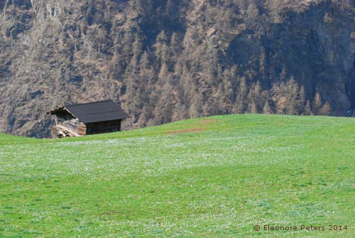 Hütte im Schnalstal