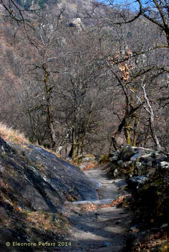 Meraner Höhenweg abwärts nach Naturns