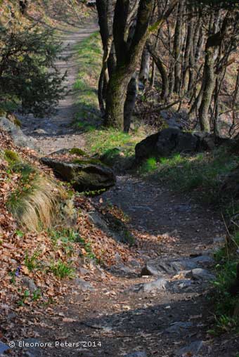 Meraner Höhenweg abwärts nach Naturns