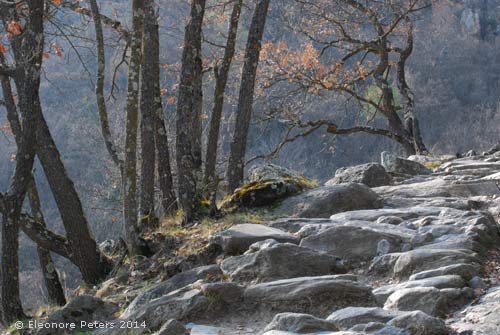 Meraner Höhenweg abwärts nach Naturns