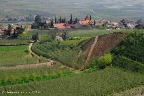 offene Landschaft