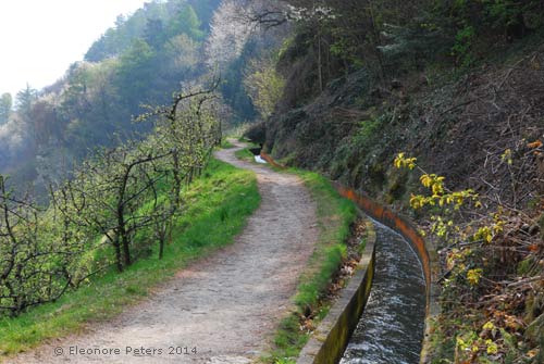 Marlinger Waal