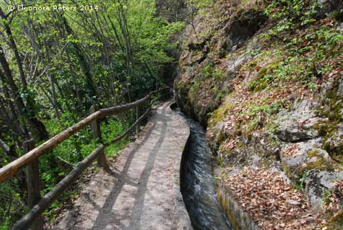 Marlinger Waal