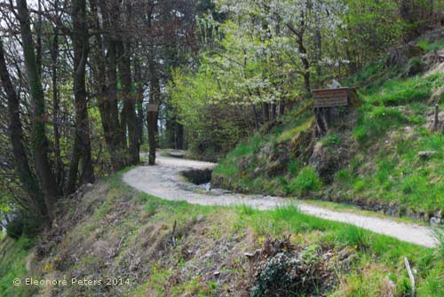Marlinger Waal