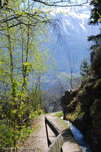 Ilswaal