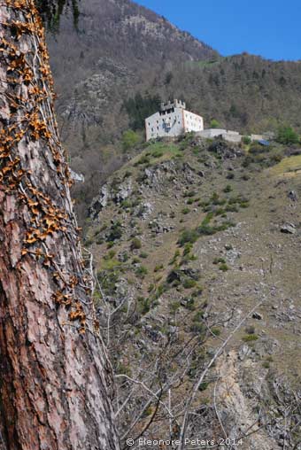 Burg Schlandersberg