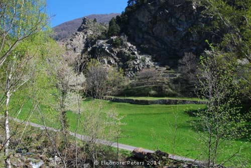 Wiese und Felsen