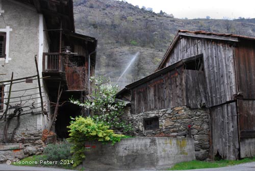 Staben Vinschgau