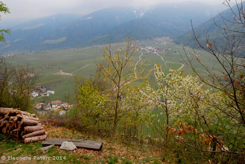 Ausblick vom Stabner Waalweg
