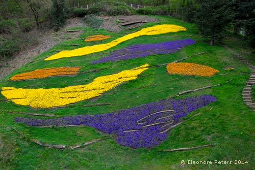 Trauttmansdorff Blumenfarbstreifen