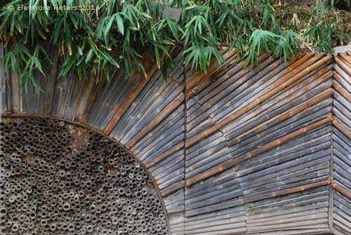 Trauttmansdorff  Japanischer Garten