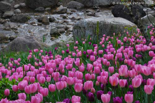 Garten Trauttmansdorff