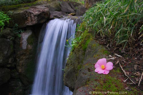Trauttmansdorff Wasserfall