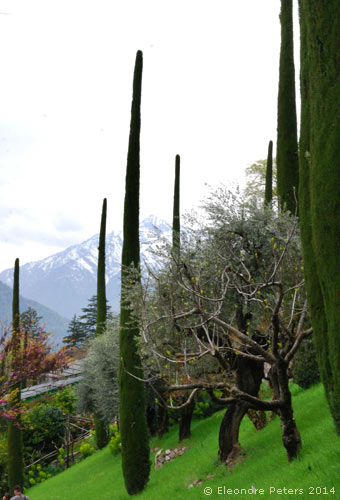 Park Trauttmansdorff