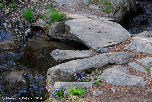 Stein über Bach