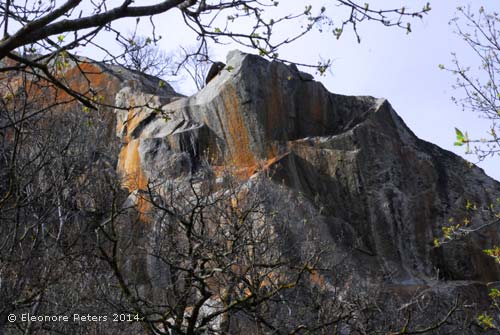 Felsen