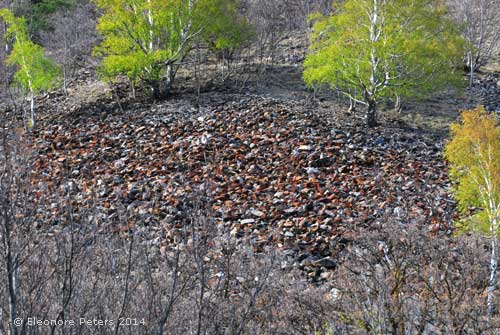 Birkenhain