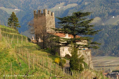 Burg Naturns