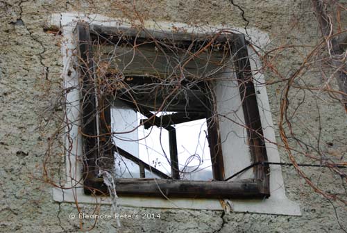 Fenster einer Ruine