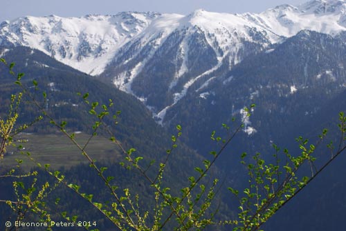 Südtirol Schnee bedeckte Berge