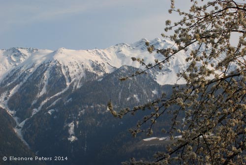 Vinschgau Sonnenberg Wallburg--Böden