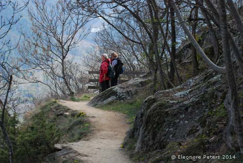 Wanderweg im Sonnenberg